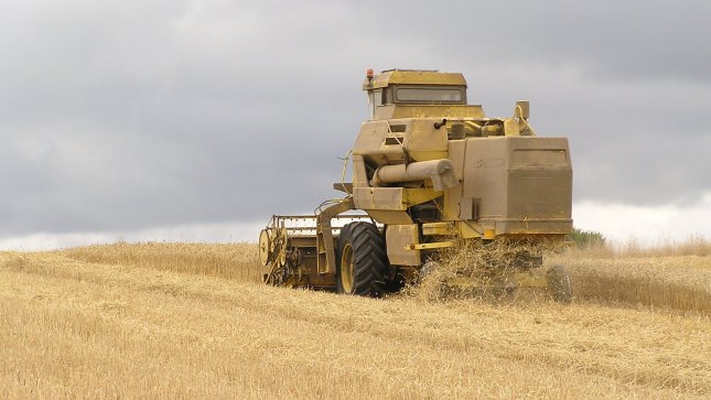 Cosechadora trabajando