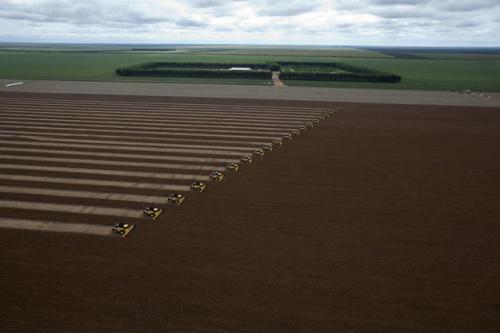 Cultivo de soja (Brasil)