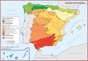 Mapa de las regiones biogeográficas de España