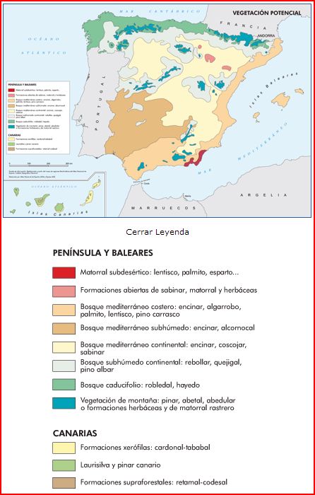 Mapa de la vegetación potencial en España.