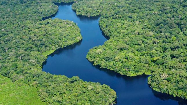 Amazonia