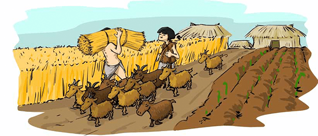 Revolucion neolitica