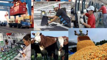 Economia actividades